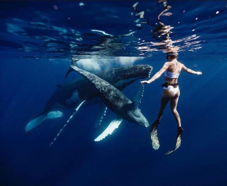 Sail the Canaries: Nature, Culture, and Culinary Delights - Final Thoughts