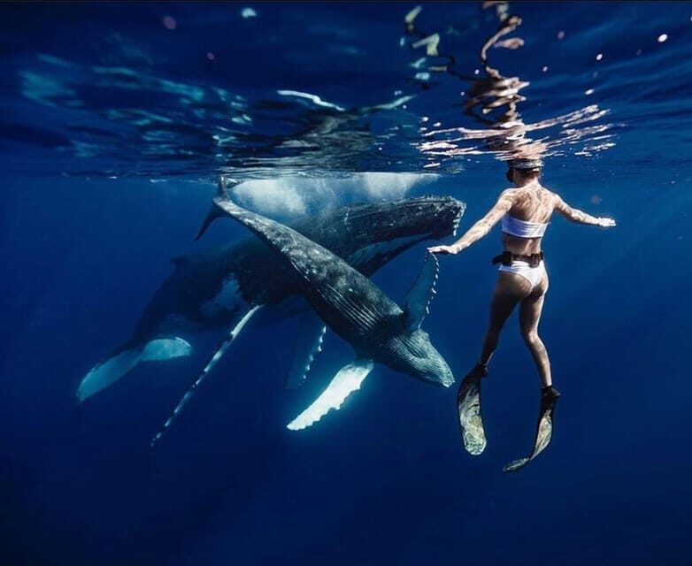 Sail the Canaries: Nature, Culture, and Culinary Delights - Final Thoughts