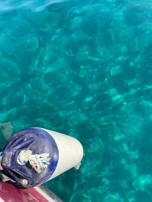 Sailing the Cilento coast: adventure, and serenity - Who Will Love This Tour?