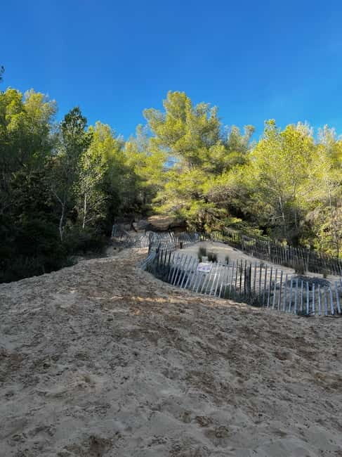 Saint-Cyr-sur-Mer: guided hike to the sand dune - Practical Details and What’s Included