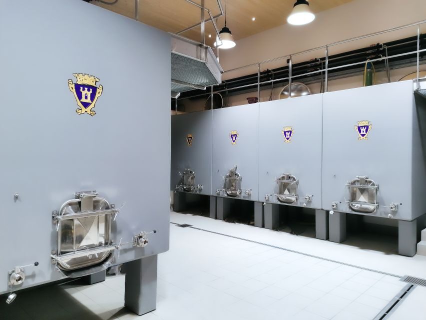 Saint-Émilion: Bordeaux Vineyard Tour and Wine Tasting - What Makes This Tour Stand Out?