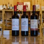 Saint-Émilion: Family Vineyard Visit with Wine Tasting - Authenticity and Authentic Experiences