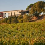 Saint-Emilion: Grand Cru Classé Guided Winery Visit & Picnic - Practical Tips & Considerations