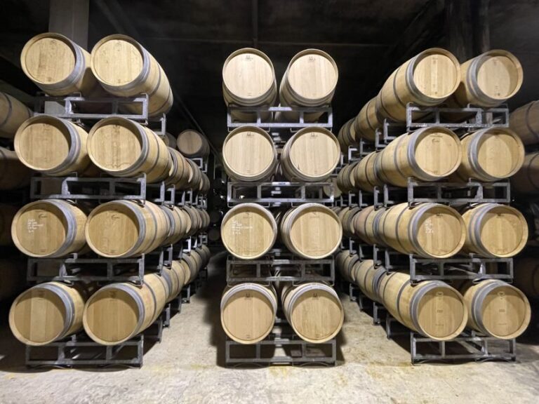 Saint-Emilion : half-day wine-tour into classified estates - What Makes This Tour Stand Out?