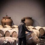 Saint-Émilion: Origin Tour - Tasting of 5 wines - Why This Tour Works Well