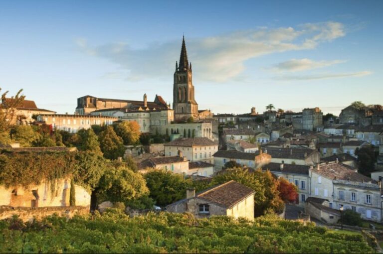Saint-Émilion: Private Walking Tour & Magnificent Views - Why You Should Consider This Tour