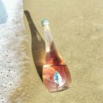 Saint-Emilion : Tasting of 4 wines in a family vineyard - The Setting and Location