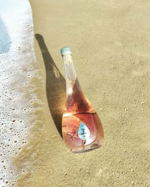 Saint-Emilion : Tasting of 4 wines in a family vineyard - The Setting and Location