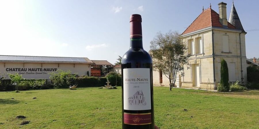 Saint-Émilion: Vineyard Walking Tour and Tasting - Who Should Consider This Tour?