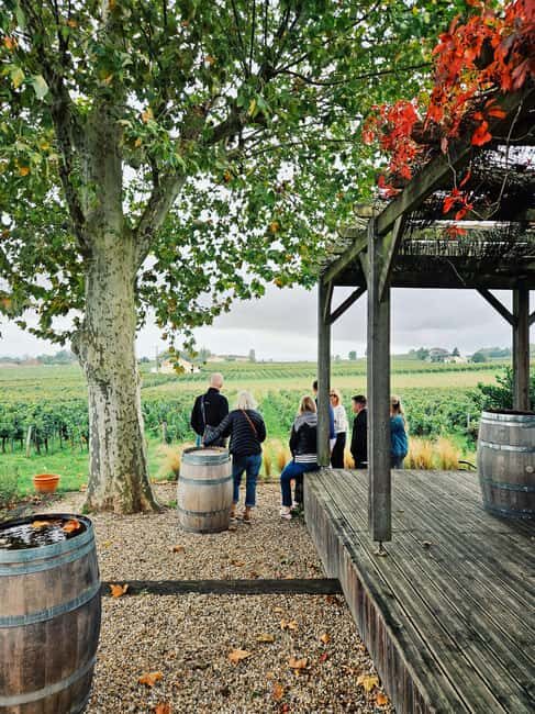 Saint-Émilion: Wine and chocolate pairing in the heart of a vineyard estate - Key Points