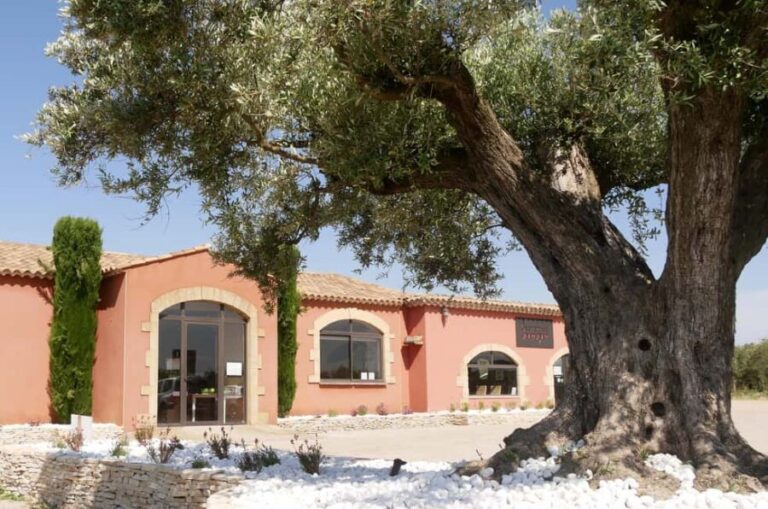 Saint Gilles: Tour of an olive oil mill in an organic olive grove - The Tour in Detail: What Makes It Special