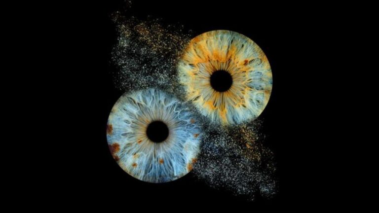 Saint-Paul-de-Vence: Reveal the beauty of your iris with Iris Galerie - The Itinerary in Detail