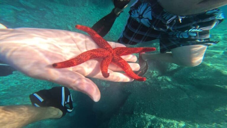 Saint-Raphaël: Boat cruise & swimming in the coves of the Esterel - An In-Depth Look at the Experience