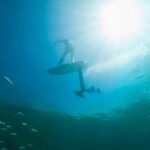 Saint Tropez: Learn how to Surf with an eFoil - FAQs