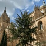 Salamanca Genial Tour privado - Exploring the UNESCO World Heritage Center