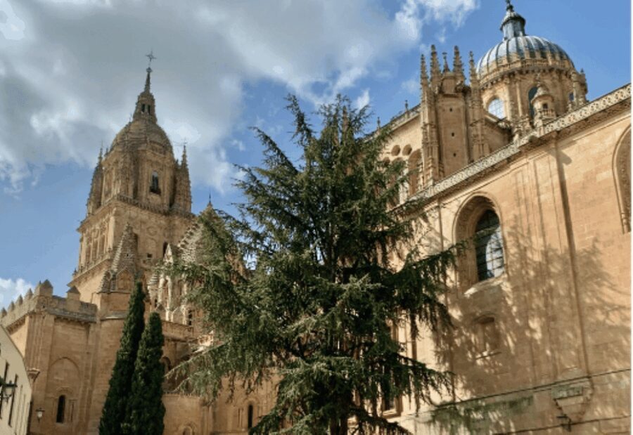Salamanca Genial Tour privado - Exploring the UNESCO World Heritage Center