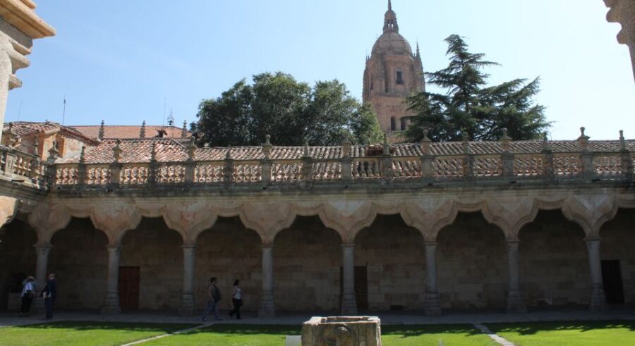 Salamanca: Monuments and Landmarks Guided Walking Tour - Practical Details and Value for Money