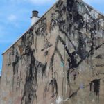 Salamanca: Private Guided Street Art Walking Tour - The Value of This Tour