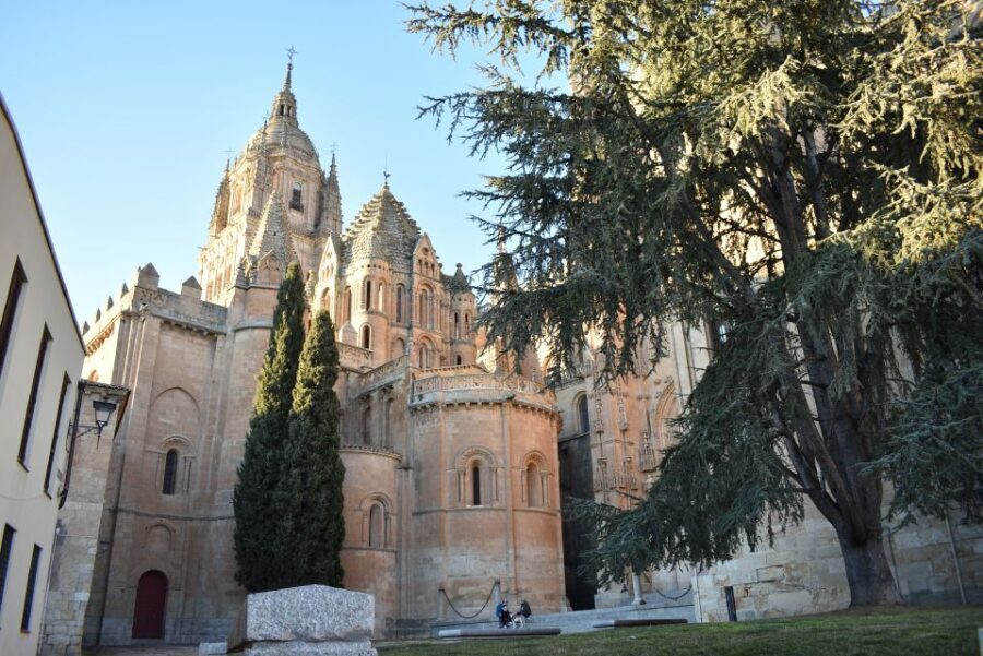 Salamanca: Private Sightseeing & Cultural Walking Tour - Exploring Salamanca: The Details