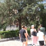 Salamanca: Private Walking Tour with a Local - Why This Tour Offers Great Value