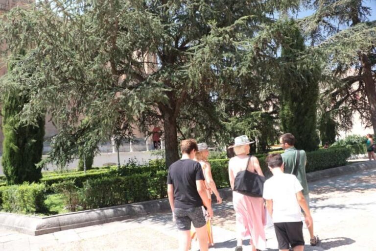 Salamanca: Private Walking Tour with a Local - Why This Tour Offers Great Value