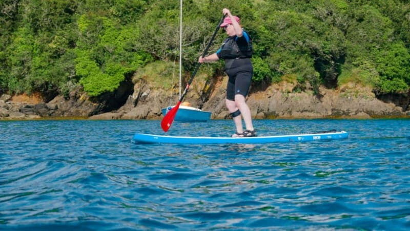 Salcombe: Group Stand Up Paddleboarding Tour - Detailed Breakdown of the Experience