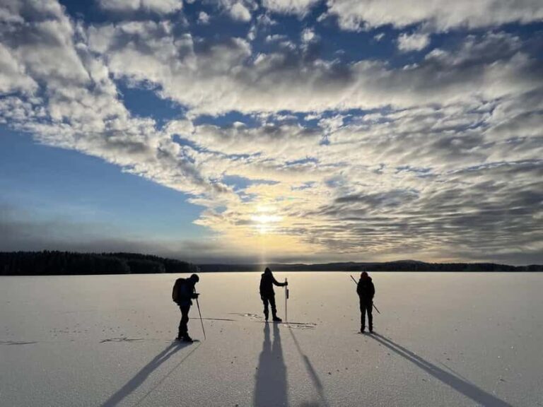 Sälen: Ice Skating Tour with Lunch and Hotel Pickup - The Value of This Tour