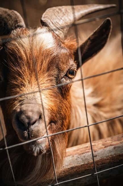 Salento: farm visit with local product tasting - Who Should Consider This Tour?