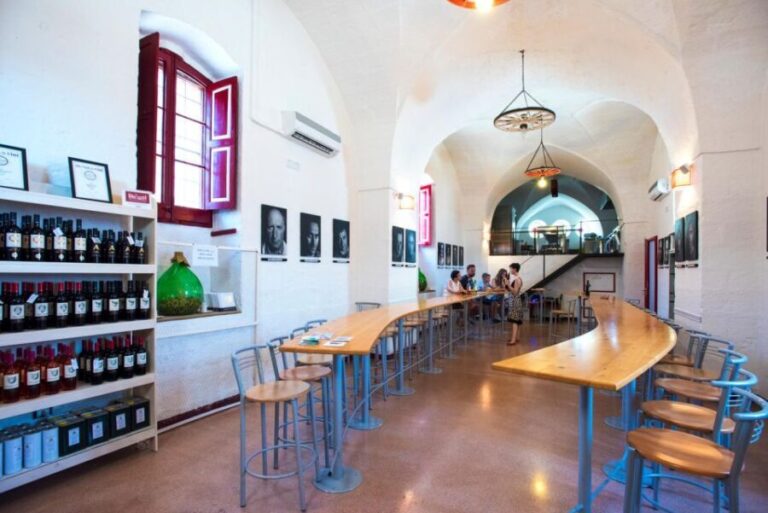 Salento: Winery Tour and Tasting - A Closer Look at What You Can Expect