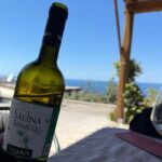 Salina: Wine Tasting & Brunch on Estate in Malfa - The Practical Details