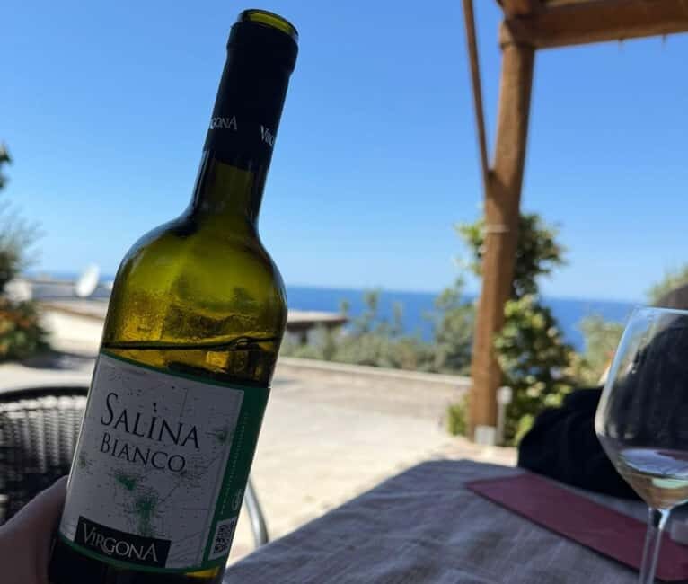 Salina: Wine Tasting & Brunch on Estate in Malfa - The Practical Details