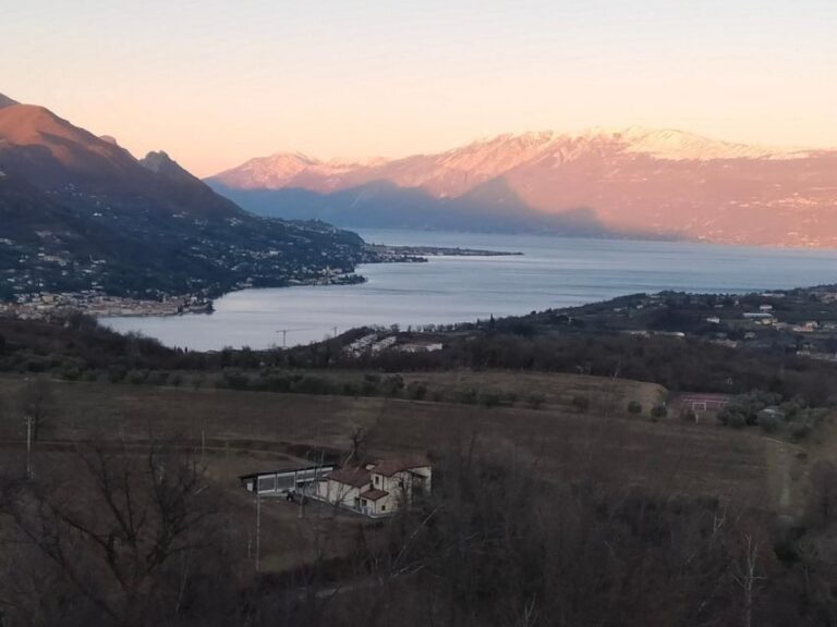Salò: Tasting of 4 Valtenesi wines with local food - An In-Depth Look at the Tour Experience