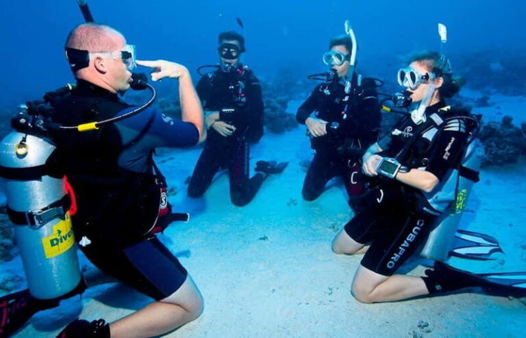 Salou: Fun Scuba Dive with Instructor (No License Needed) - What to Expect from the Salou Discover Scuba Experience