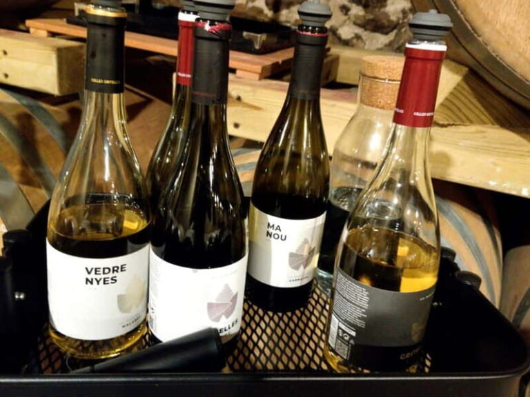 Salou: Priorat tasting Wine-Cellar Tour with hotel pickup - What the Tour Includes and What You Should Know