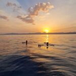 Salou: Sunset on Boat - Who Would Love This Tour?