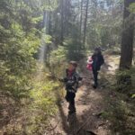 Saltsjöbad: Guided Hike, Local Food, and Wood Burning Sauna - The Sauna Experience