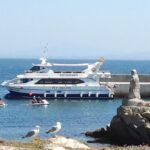 Salvora: Island Tour with Mussel Tasting - In-Depth Analysis of What the Tour Offers