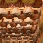San Daniele ham tasting and tour of the ham factory - The Sum Up