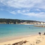 San Domino, Tremiti: Guided dives around Tremiti Islands - Why This Tour Offers Good Value