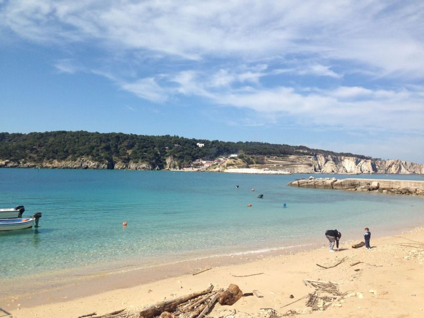 San Domino, Tremiti: Guided dives around Tremiti Islands - Why This Tour Offers Good Value