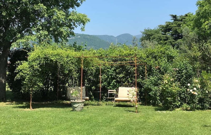 San Felice del Benaco: Vineyard Tour with Wine Tasting - Who Should Consider This Tour?