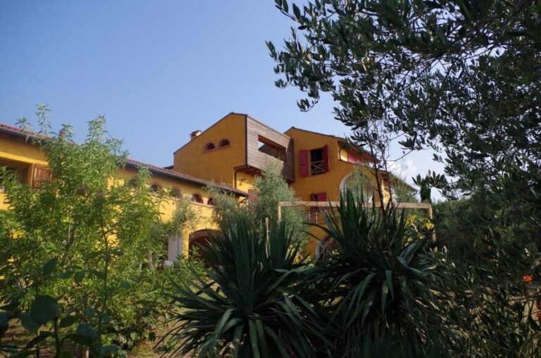 San Felice: Olive Oil Tasting with local food on Garda Hills - Who Will Love This Tour?