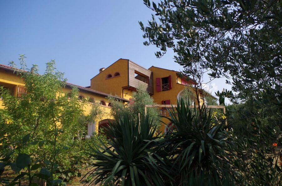 San Felice: Olive Oil Tasting with local food on Garda Hills - Who Will Love This Tour?