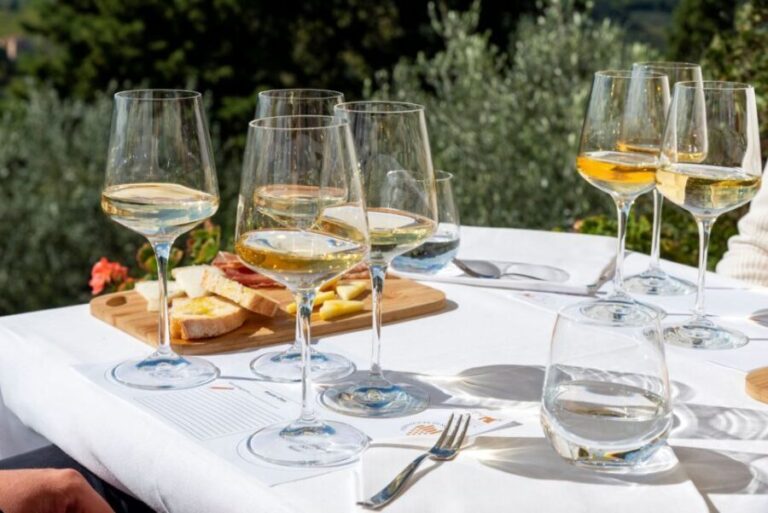 San Gimignano: Professional Wine Tasting Experience - What You Can Expect