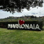 San Gimignano: Wine, Oil, Cheese & Balsamic Tasting - Who Will Love This Experience?