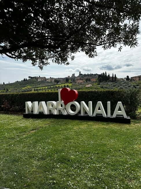 San Gimignano: Wine, Oil, Cheese & Balsamic Tasting - Who Will Love This Experience?