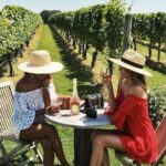 San Gimignano Wine Tasting and Class in Winery for Beginners - Authentic Experiences from Real Visitors