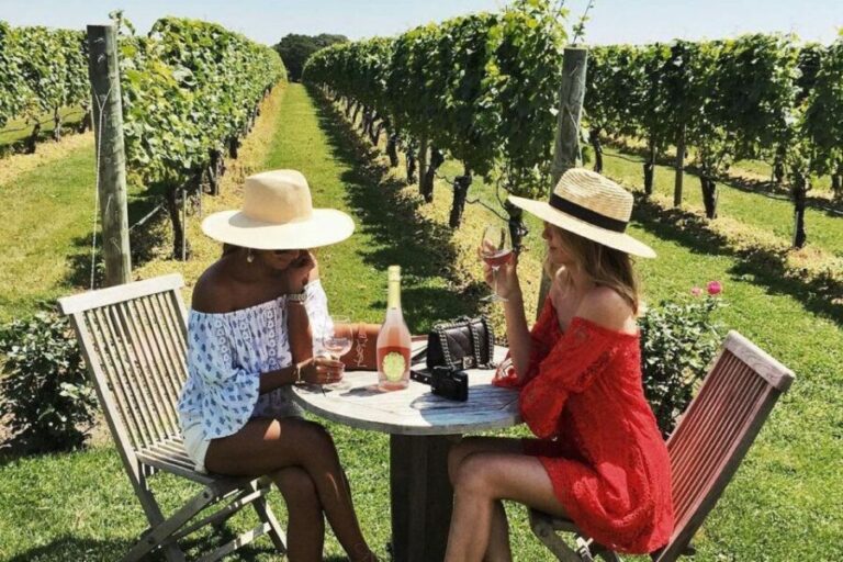 San Gimignano Wine Tasting and Class in Winery for Beginners - Authentic Experiences from Real Visitors