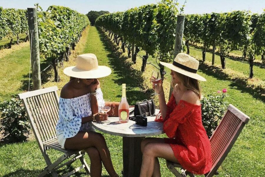 San Gimignano Wine Tasting and Class in Winery for Beginners - Authentic Experiences from Real Visitors