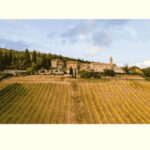San Gimignano: Wine Tasting Experience at Il Colombaio - Final Thoughts